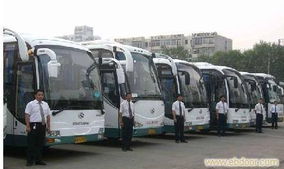 上海租车服务指南 从日常代步到长途包车的全方位选择